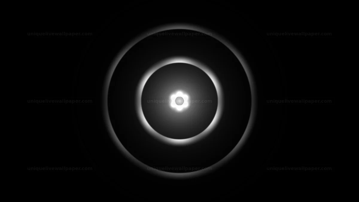 Black and White Radial Progress Display Seamless Loop