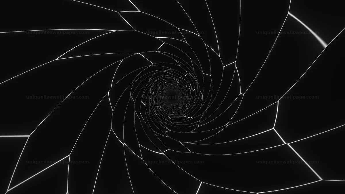 Watermarked thumbnail for Grayscale Wireframe Vortex Background Seamless Loop