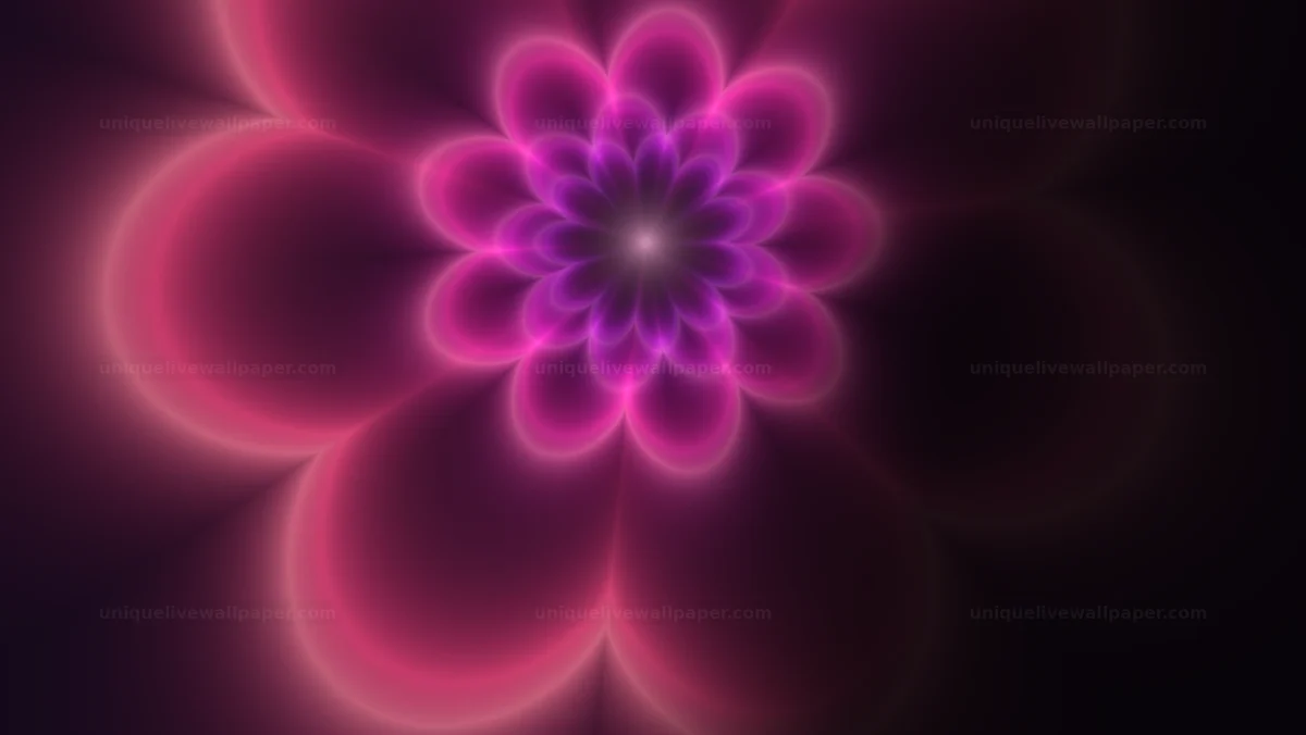Purple Radial Flower Glow Seamless Loop