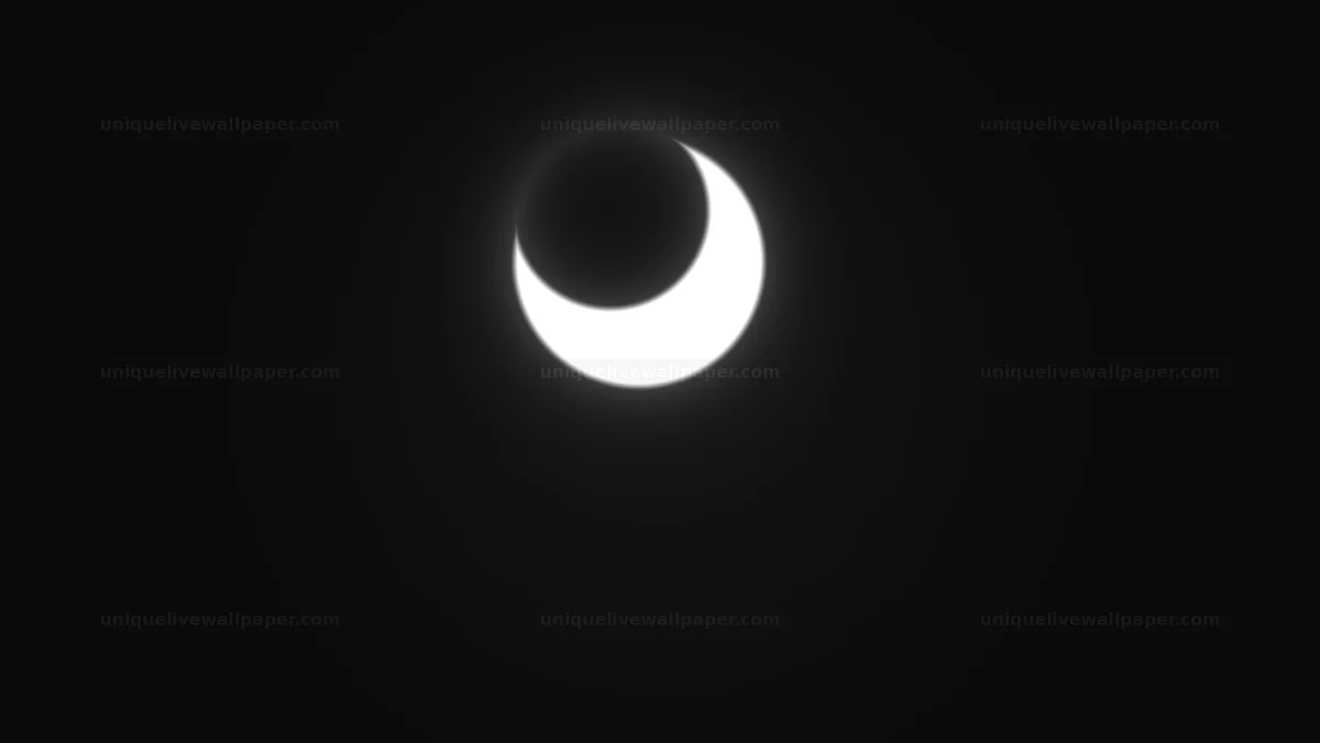 Grayscale Circular Motion Background Seamless Loop