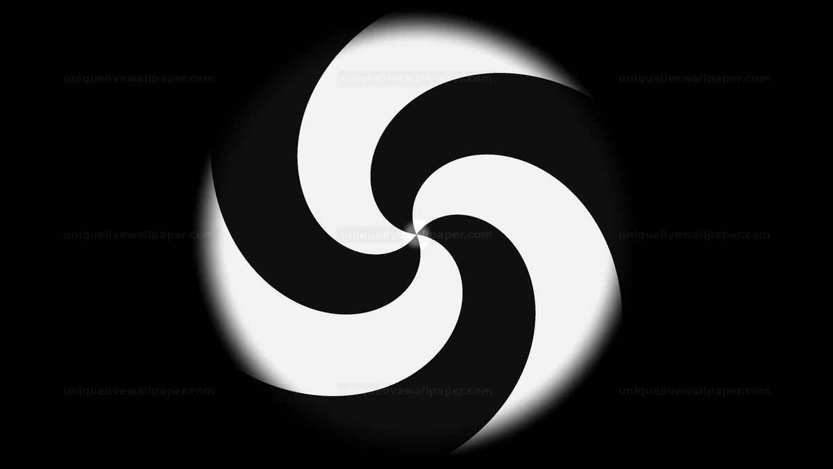 Black and White Spiral Reveal Transition Seamless Loop