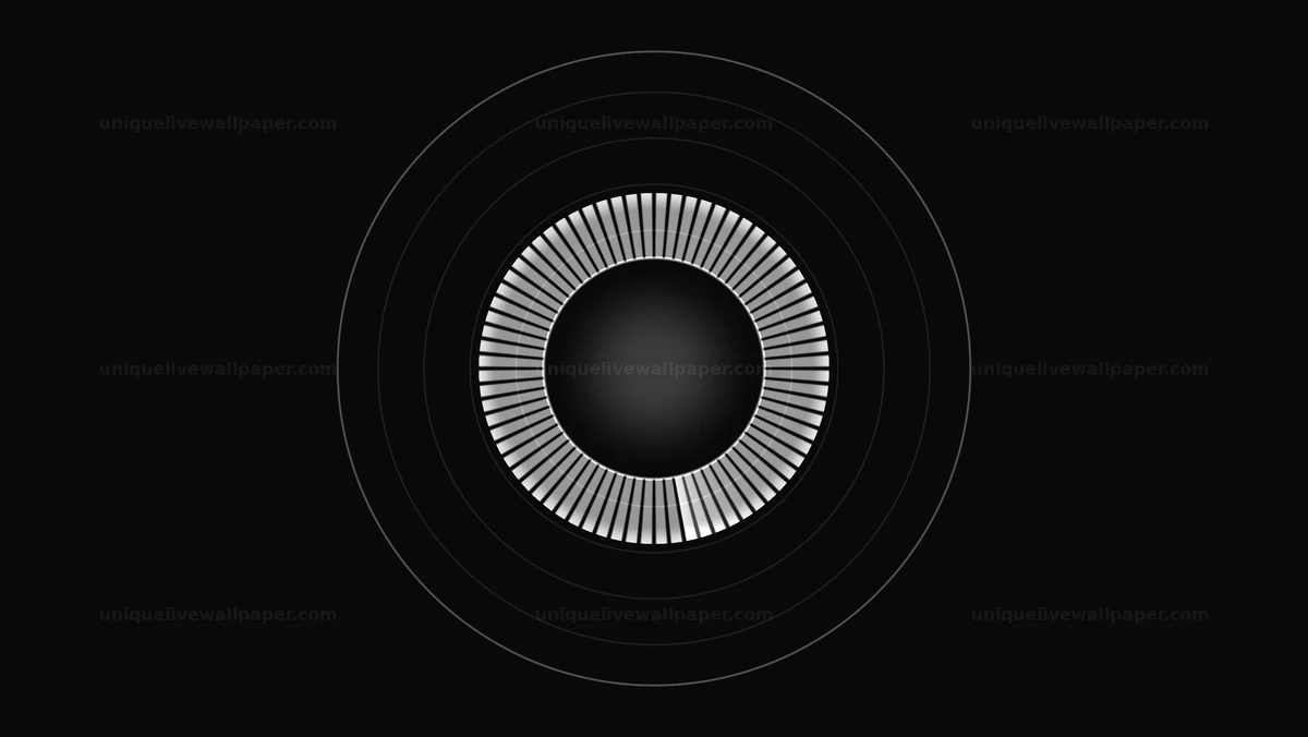 Grayscale Circular Data Visualization Seamless Loop